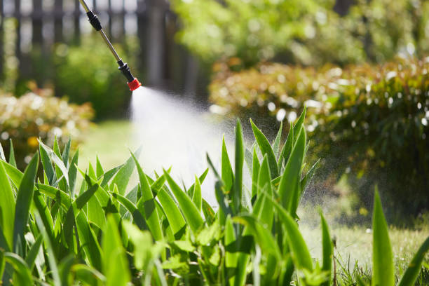 24/7 Emergency Fumigation Services experts in Brookings, SD